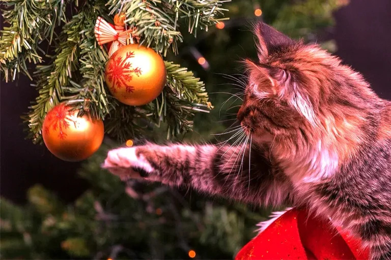 Chat jouant avec les décorations d’un sapin de Noël dans une maison en hiver – AMS Formation